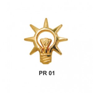 AKP Rozeti (Ak Parti)